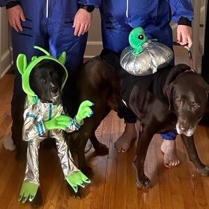 Halloween Alien Dog Outfits